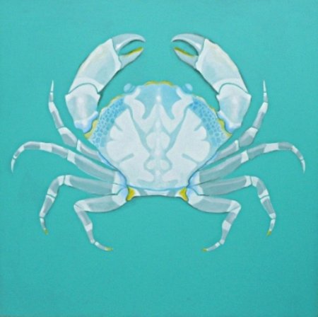 Barry Fitzpatrick - Aqua crab