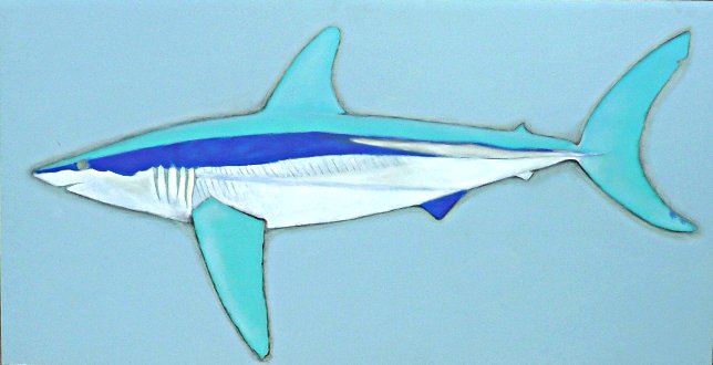 Barry Fitzpatrick - Mako shark