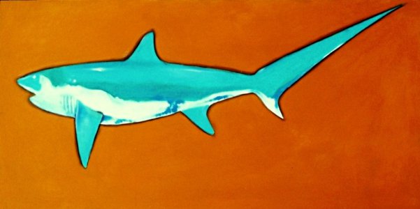 Barry Fitzpatrick - Thresher Shark